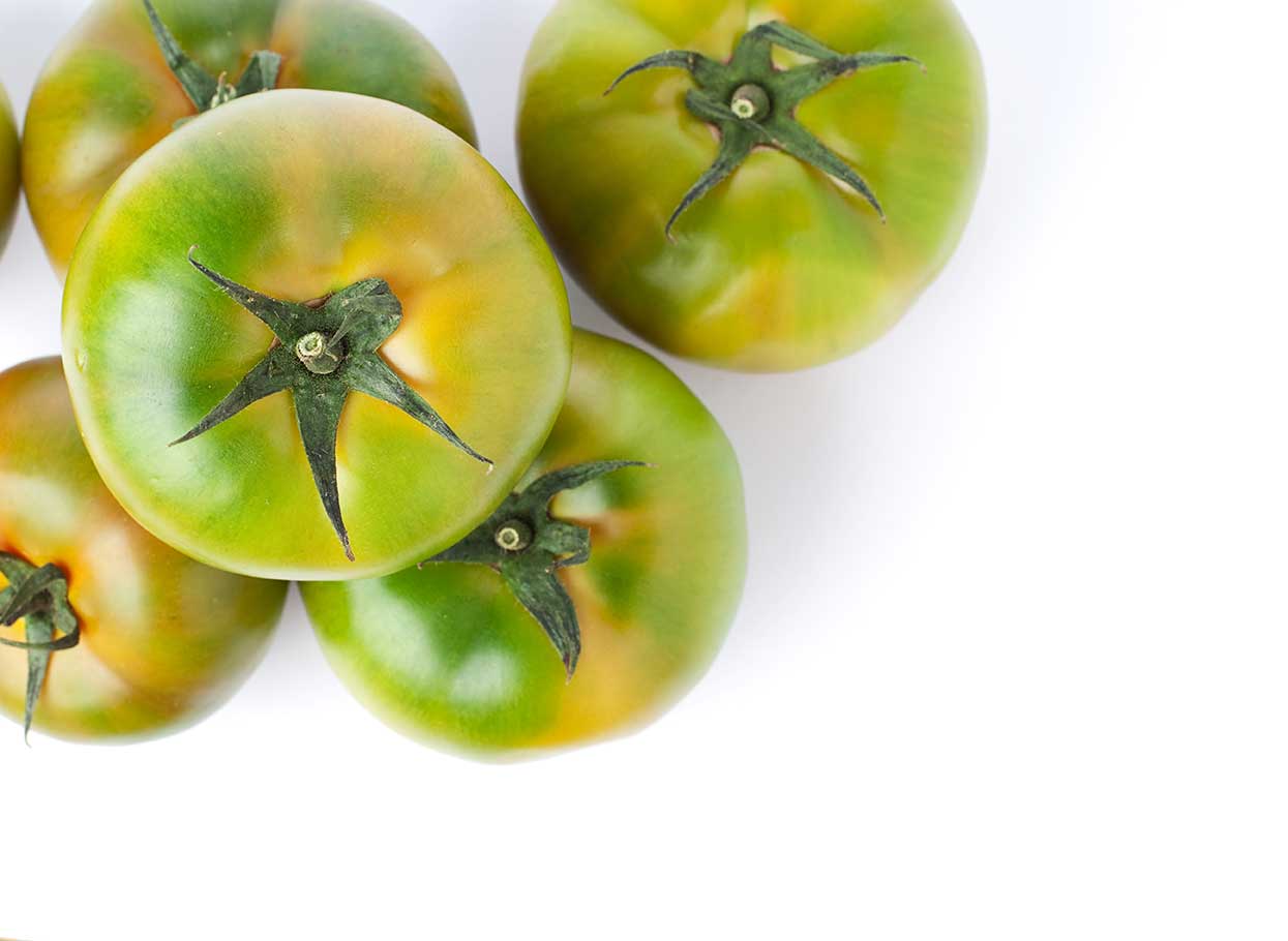 tomate - Frutería de Valencia