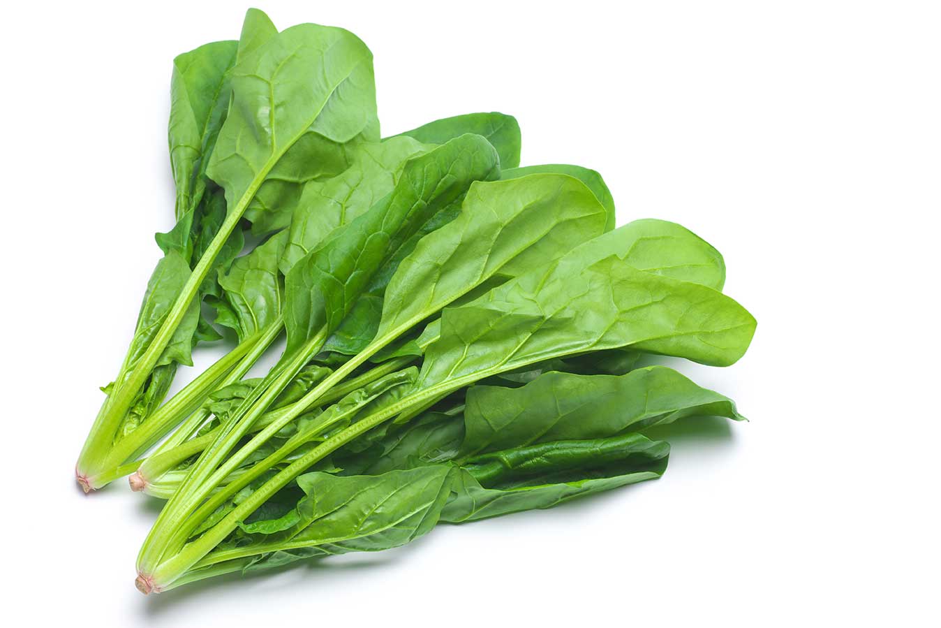 Alimentos aliados contra el envejecimiento