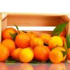 naranjas - Fruteria de Valencia