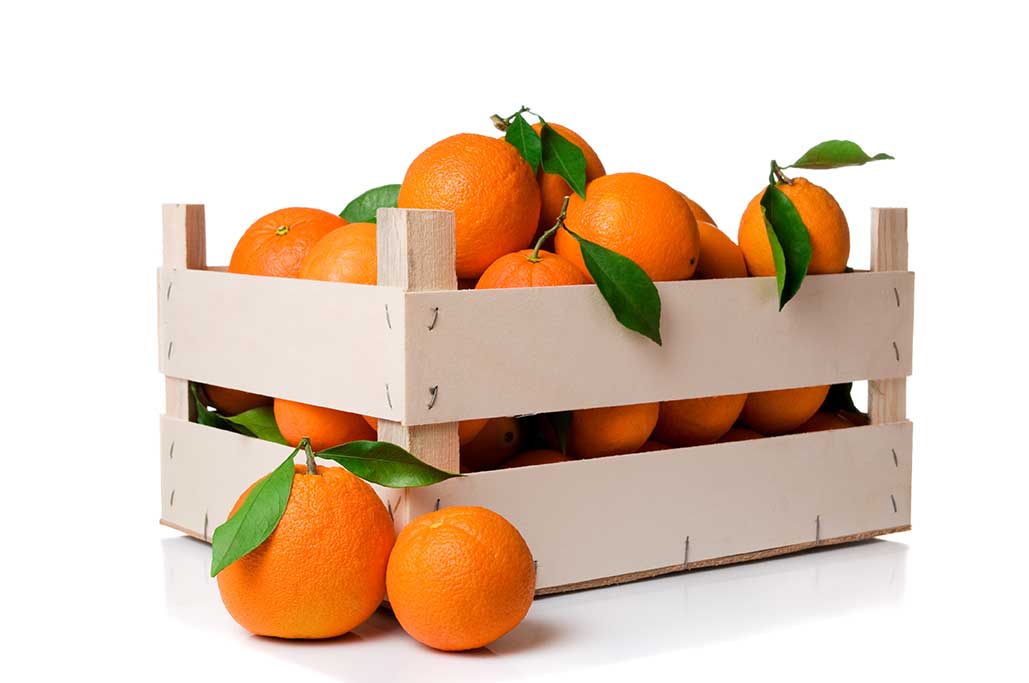 naranjas valencia - Fruteria de Valencia