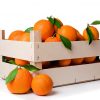 Naranjas para zumo - parejas - Fruteria de Valencia