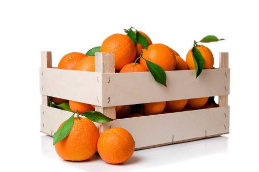 Naranjas para zumo - parejas - Fruteria de Valencia