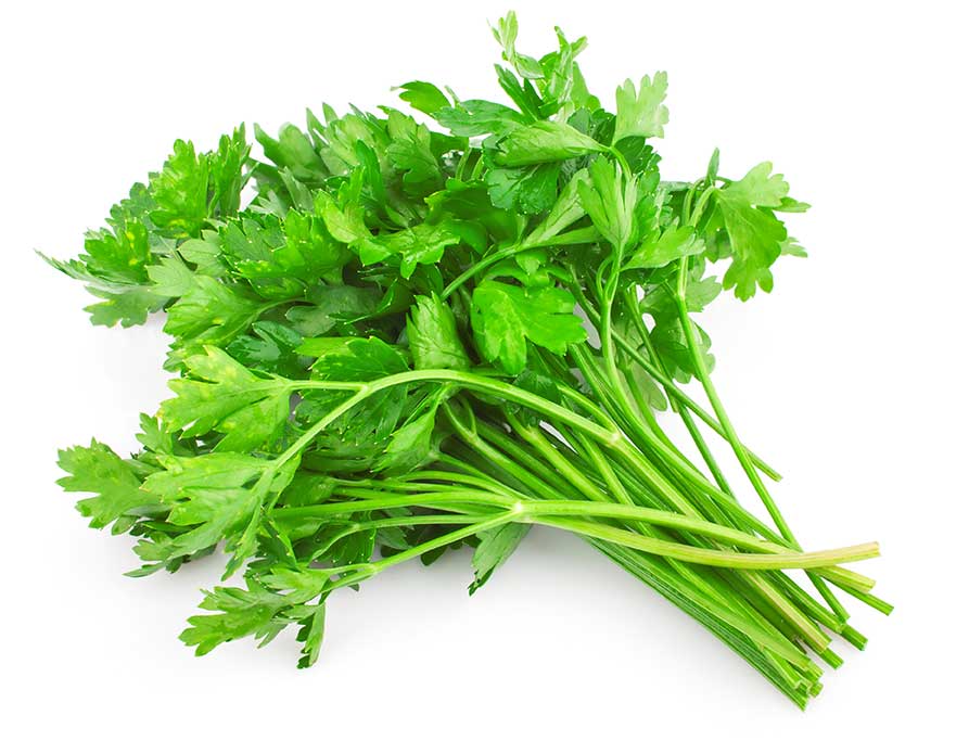 Compra perejil y plantas aromáticas online en Leo Verdures. Compra perejil y plantas aromáticas online en Leo Verdures.