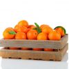 Naranjas para Zumo - Single - Fruteria de Valencia