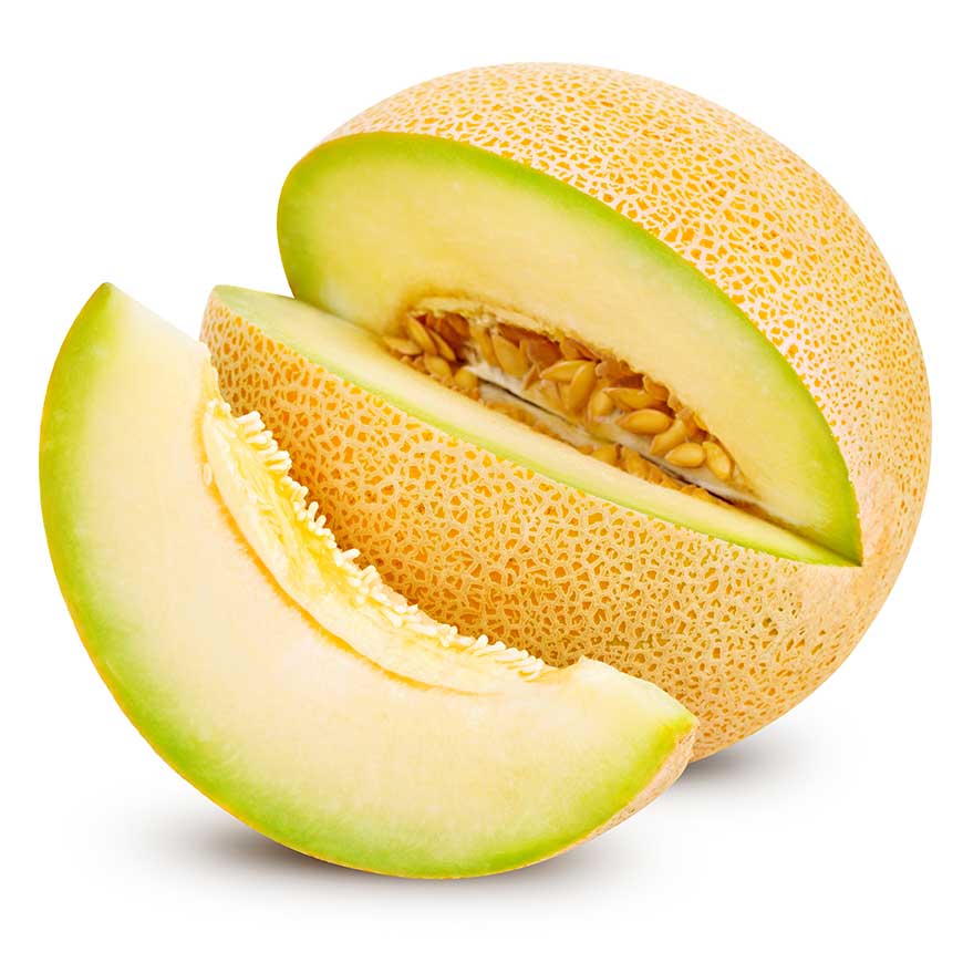 Resultado de imagen para melon Galia